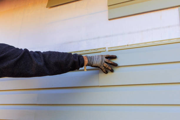 Best Siding for Commercial Buildings  in Durand, MI